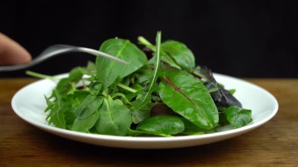 Slow motion shot of fresh salad with rucola, purple lettuce, spinach, frisee and chard leaf on a white plate with fork and knife. Diet and healthy eating concept - Footage, Video