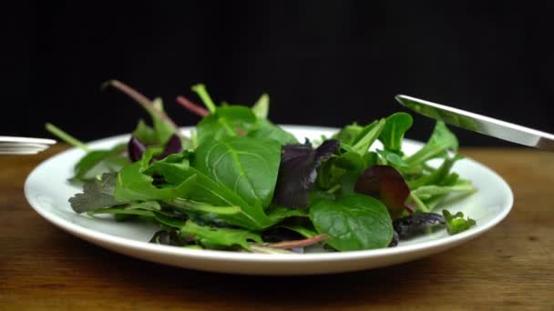 Lassú mozgás lövés friss saláta rucola, lila saláta, spenót, frizbi és mángold levél fehér tányéron villával és késsel. Táplálkozás és egészséges táplálkozás - Felvétel, videó