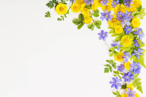 wiosenne żółte i fioletowe kwiaty na papierowym tle - Zdjęcie, obraz