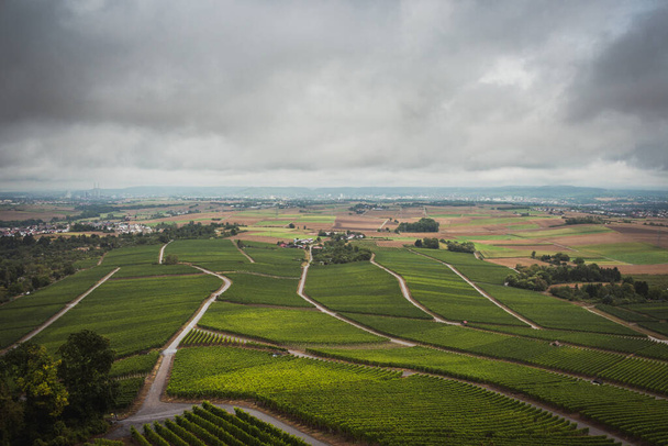 Rainy day view of the wine fields in Stuttgart Germany - Photo, Image
