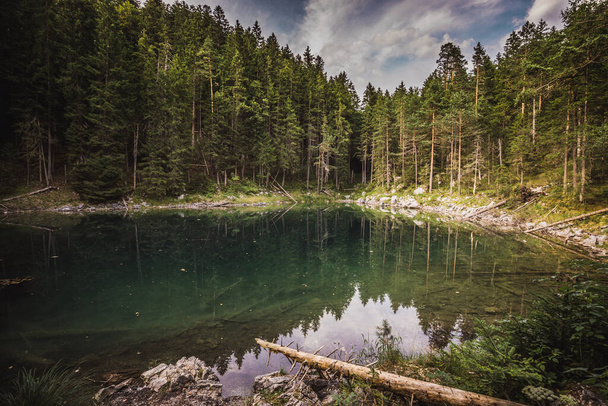 Blue water in a forest lake with pine trees - Foto, Imagem