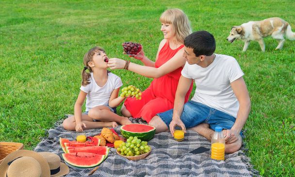 Pregnant woman on a picnic. Selective focus. Food. - Фото, зображення