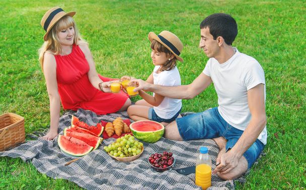 Pregnant woman on a picnic. Selective focus. Food. - Valokuva, kuva