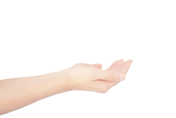 les deux mains de la femme tendre la main est donner ou obtenir geste isolé sur fond blanc - Photo, image