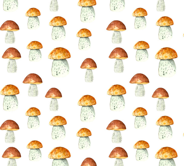 Akvarel vzor les podzim houby bezešvé na bílém pozadí - Fotografie, Obrázek