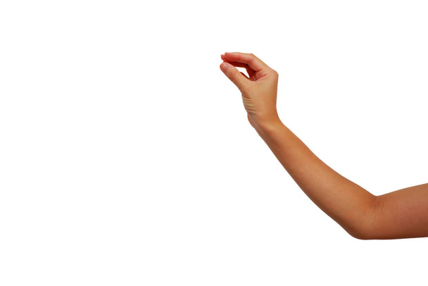 kéz ázsiai nő -ban fog gesztus valami elszigetelt fehér háttér - Fotó, kép