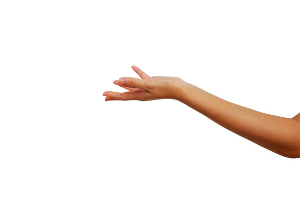mano sinistra di asiatico donna spettacolo è tenere su gesto isolato su sfondo bianco per ottenere le cose o qualcosa del genere - Foto, immagini