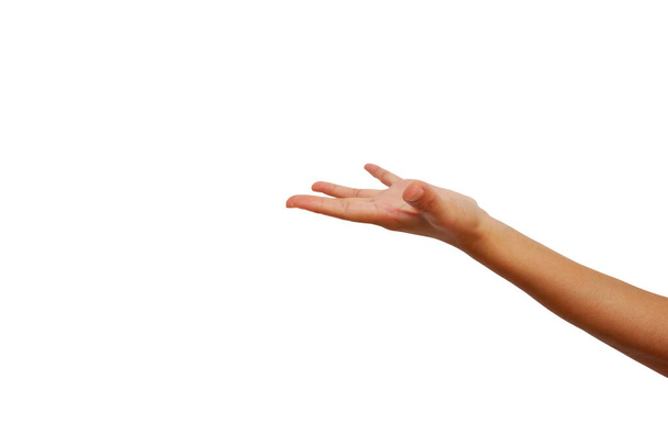 mano izquierda de la mujer asiática muestran es sostener el gesto aislado sobre fondo blanco para conseguir cosas o algo
 - Foto, imagen