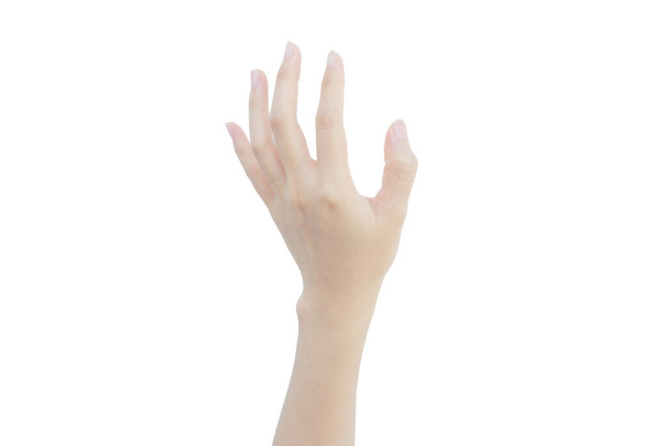 mano della donna con pelle bianca raggiungere afferrare isolato su sfondo bianco - Foto, immagini