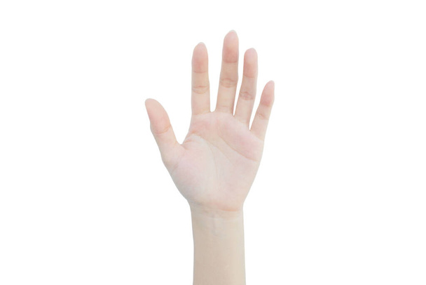 Рука азіатської жінки ізольована на білому фоні. - Фото, зображення