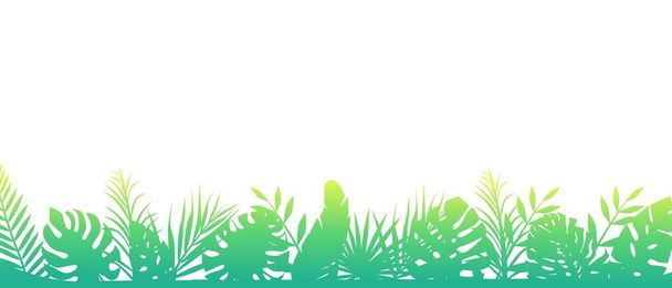 Green morning fern background. Horizontal decoration rainforests floral exotic. - Vector, Image