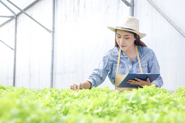 Jóvenes empresarios asiáticos cultivan verduras ecológicas para exportar al extranjero. Ella está comprobando los productos
. - Foto, Imagen