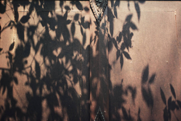 レンガの壁にアンティークタイスタイルの木製の窓に庭の木の影。ヴィンテージのコンセプト. - 写真・画像