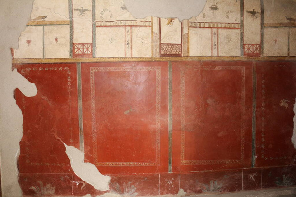 Pompei, scavi della citt ricoperta di lava nell 'eruzione del 79 d.C. Gli scavi hanno riportato alla luce intere abitazioni con suppellettili ancora intatte e sclendidi affreschi - Φωτογραφία, εικόνα