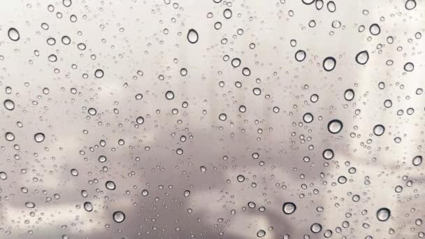 Compilation de vidéos de gouttes de pluie sur une fenêtre transparente montrant une ville en arrière-plan. - Séquence, vidéo