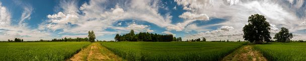 Photographie panoramique, prairie verte avec chêne et allée, ciel bleu - Photo, image