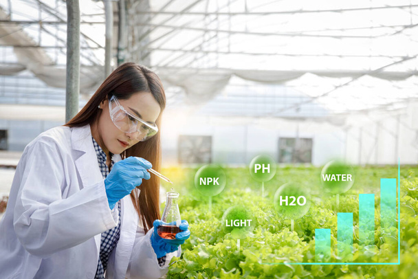 Ερευνητές βιολογικών λαχανικών διεξάγουν χημικά πειράματα. Με ραβδόγραμμα που δείχνει ανάπτυξη και σύνθετες φόρμουλες. με χώρο αντιγραφής. - Φωτογραφία, εικόνα