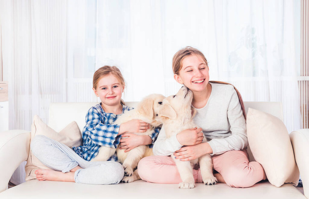 Smiling sisters sitting with puppies - Zdjęcie, obraz