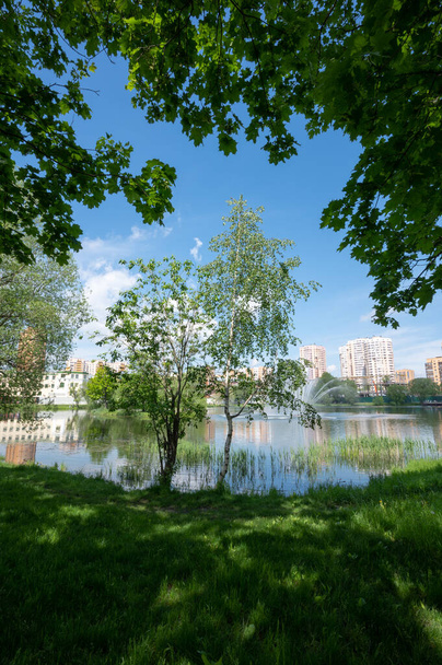 "Fabrika göleti" parkında, Reutov, Moskova bölgesi, Rusya Federasyonu, Haziran 06, 2020 - Fotoğraf, Görsel