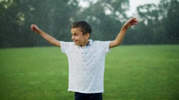 Joyful boy standing in meadow. Kid getting wet under water sprinkler in park - Footage, Video