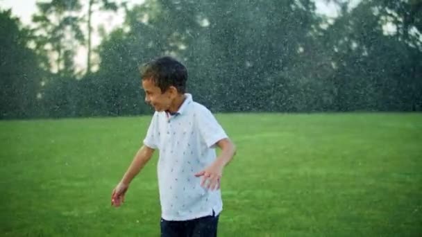 Boy standing in green meadow. Child getting wet under water sprinkler in field - Footage, Video