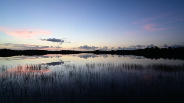 Včasný východ slunce nad rybníkem Nine Mile v národním parku Everglades 4K. - Záběry, video
