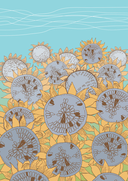 Field of Sunflowers - Вектор, зображення