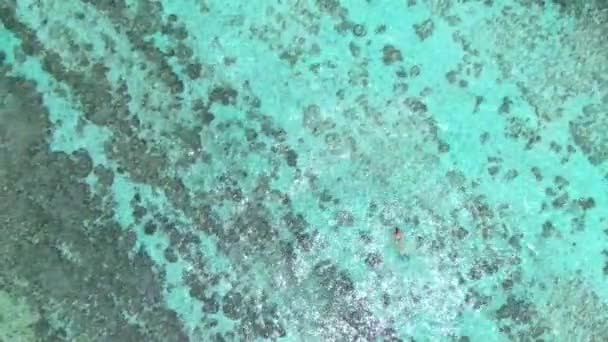 TOP DOWN: Snorkeler femminile si tuffa intorno all'oceano turchese ed esplora la barriera corallina - Filmati, video