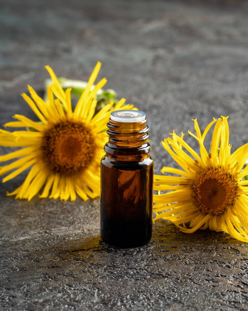 Una botella oscura de aceite esencial de páncreas con flores frescas de Inula helenium
 - Foto, Imagen