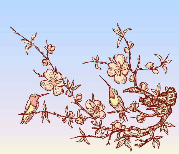 Ilustración vectorial de dos colibríes sentados en ramas floreciendo cerezo
 - Vector, imagen