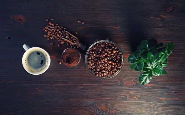 Foto von Kaffee Zutaten. Kaffeetasse, Kaffeebohnen, pflanzliches und gemahlenes Pulver auf Holztischhintergrund. Ansicht von oben. Flache Lage. - Foto, Bild