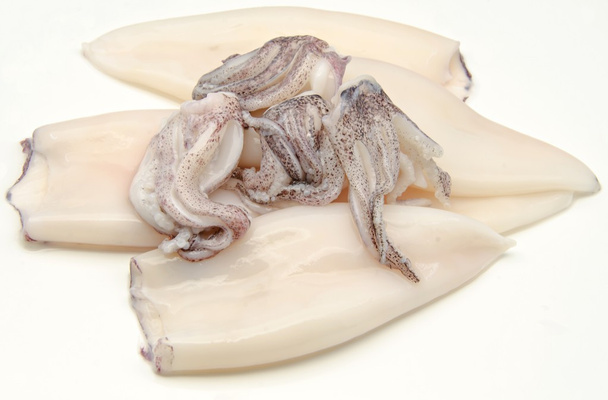 squid - Photo, Image