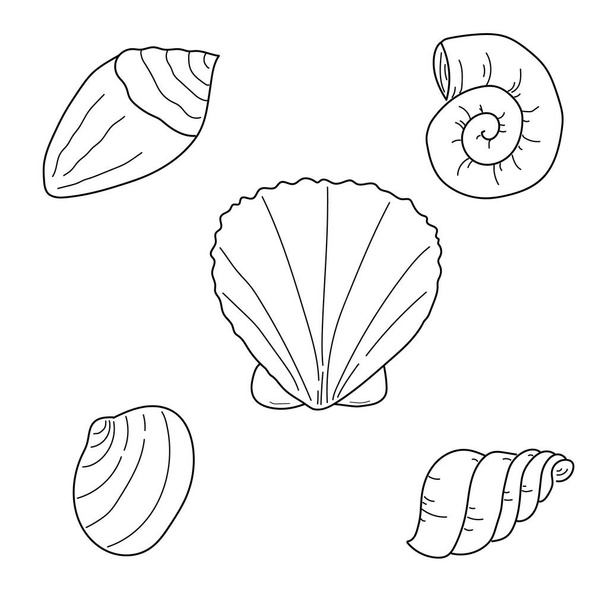 Seashells Line art Fekete fehér háttér Illusztráció doodle Monokróm Víz alatti világ gyűjtemény Ikonok és szimbólumok Kézrajz web-hez Nyomtatás és ceruza Plakátok Meghívó és üdvözlő kártya. - Fotó, kép