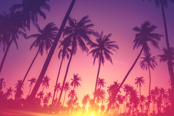 Kopieren Sie Raum der Silhouette tropische Palme mit Sonnenlicht am Himmel bei Sonnenuntergang und Wolke abstrakten Hintergrund. Sommerurlaub und Naturerlebnis-Konzept. Pastelltöne Filtereffekt Farbstil. - Foto, Bild