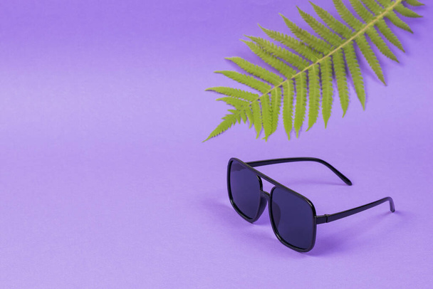 Sluneční brýle a palmový list na šeříkovém pozadí. - Fotografie, Obrázek