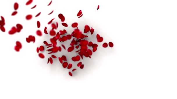 Herz aus Blütenblättern - Filmmaterial, Video