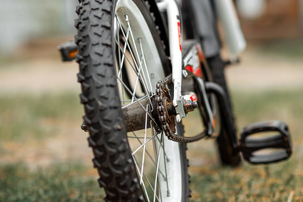 Wheel with a tread with a chain closeup. Bike, cardio workout - Fotoğraf, Görsel