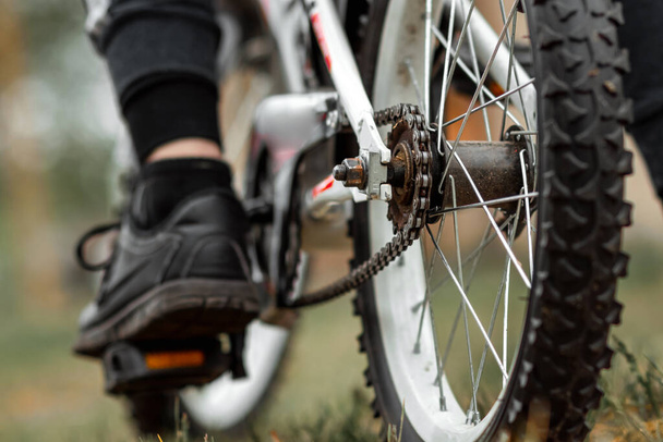 Wheel with a tread with a chain closeup. Bike, cardio workout - Zdjęcie, obraz