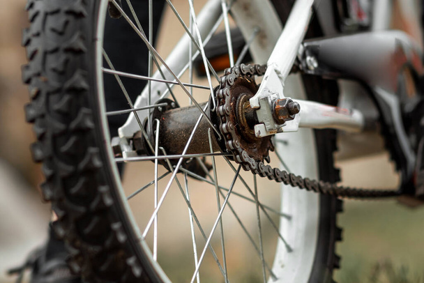 Wheel with a tread with a chain closeup. Bike, cardio workout - Zdjęcie, obraz