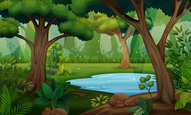 Forest scene with trees and pond illustration - Vector, Image