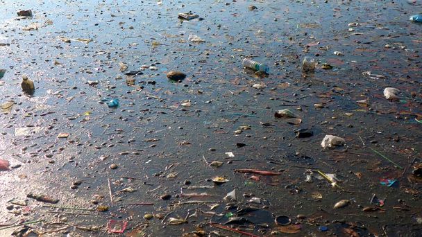 ゴミによる水質汚濁環境 - 写真・画像