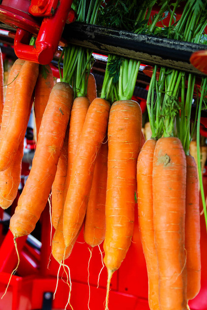 крупним планом з'єднати моркву
 - Фото, зображення