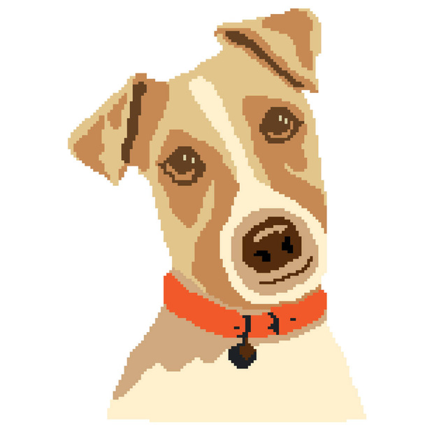 vector illustration of dog, pet animal, jack Russell Terrier - Vector, Image