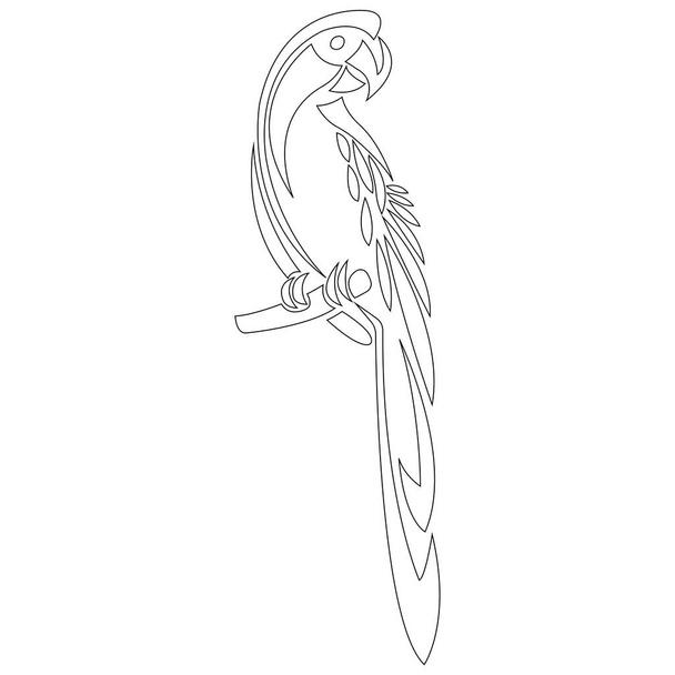papoušek pták, vektorové ilustrace pozadí  - Vektor, obrázek