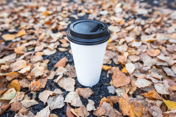 Coffee to go mockup. White paper cup with black plastic cap on the background of autumn foliage. - Фото, зображення
