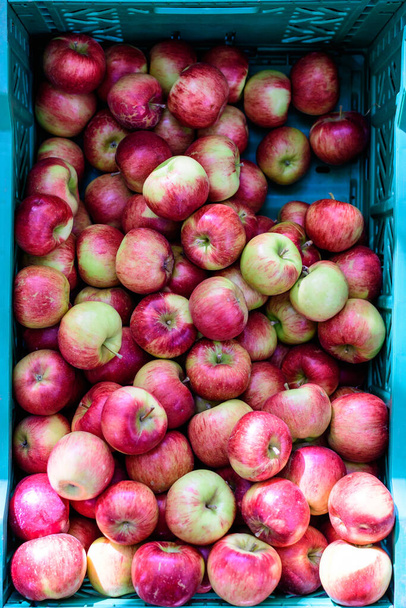 Manzanas rojas maduras frescas del huerto, expuestas para la venta en una caja de plástico, en un mercado de alimentos callejeros, enfoque suave - Foto, imagen