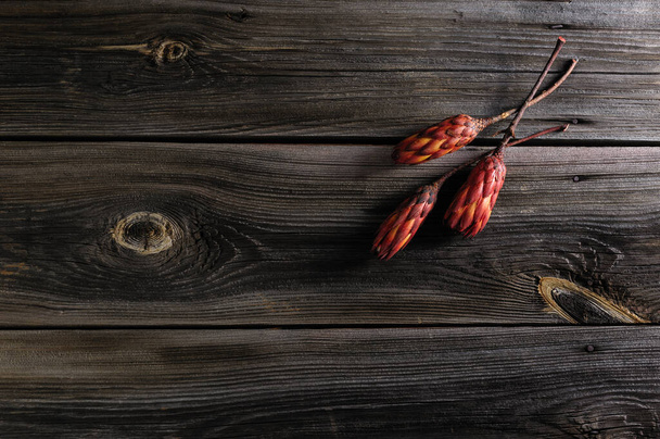цветы из артишока на старом натуральном деревянном фоне
 - Фото, изображение
