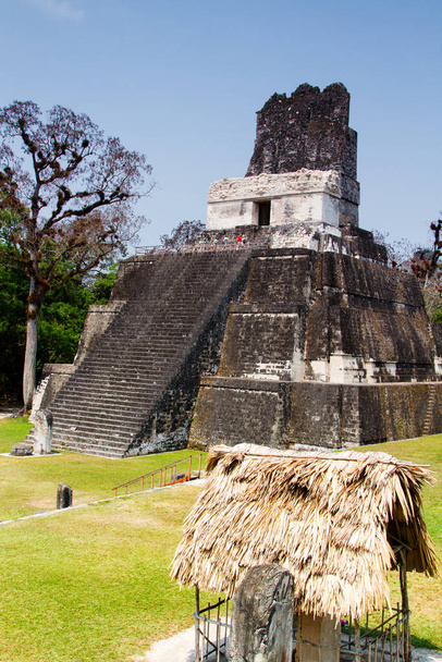Mayan pyramids in Tikal, Peten region, Guatemala, Central America - Photo, Image