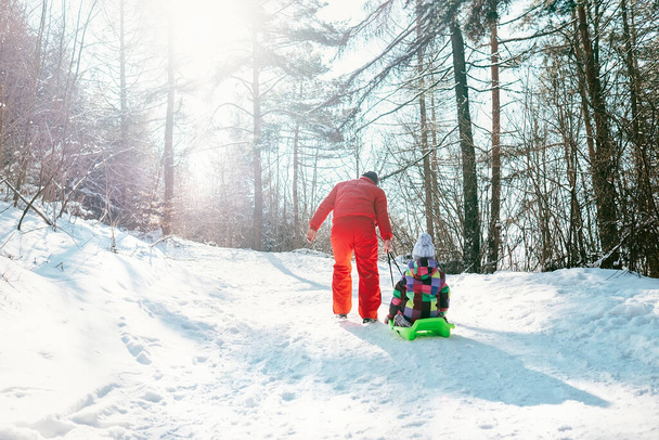 Father carries the sled with his little daughter on the snow slope in winter forest - Valokuva, kuva