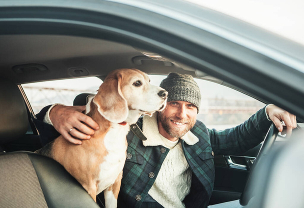 Człowiek podróżujący ze swoim psem beagle samochodem - Zdjęcie, obraz
